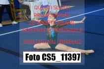 CS5_11397