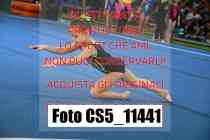 CS5_11441
