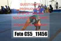 CS5_11456
