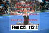 CS5_11514