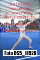 CS5_11529