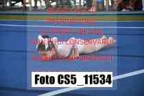 CS5_11534