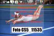 CS5_11535