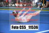 CS5_11536