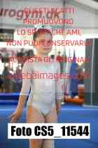 CS5_11544