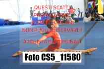 CS5_11580
