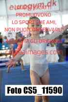 CS5_11590