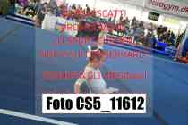 CS5_11612
