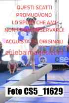 CS5_11629
