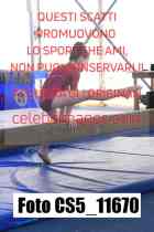 CS5_11670