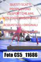 CS5_11686