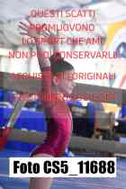 CS5_11688