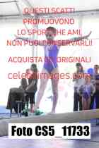 CS5_11733