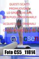 CS5_11814