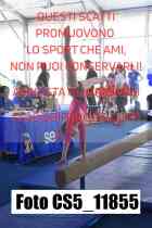 CS5_11855