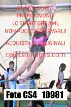 CS4_10981-