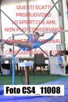 CS4_11008-