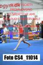 CS4_11014-