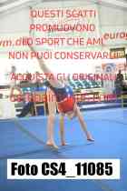 CS4_11085-