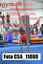 CS4_11088-