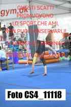 CS4_11118-
