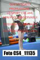 CS4_11135-