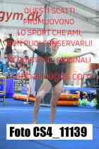 CS4_11139-