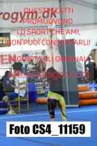 CS4_11159-