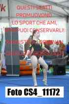 CS4_11172-