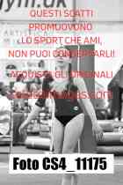 CS4_11175-