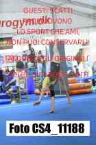 CS4_11188-