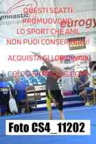 CS4_11202-