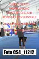 CS4_11212-