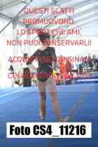 CS4_11216-