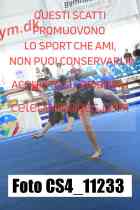 CS4_11233-