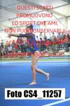 CS4_11257-