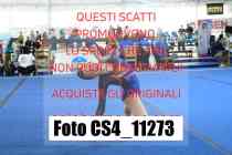 CS4_11273-