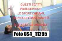 CS4_11295-