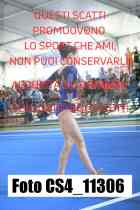 CS4_11306-