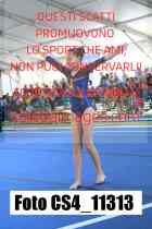 CS4_11313-