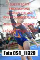 CS4_11329-