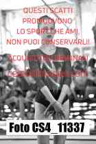 CS4_11337-