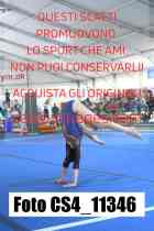 CS4_11346-