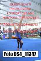 CS4_11347-