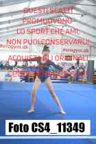 CS4_11349-