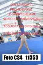 CS4_11353-