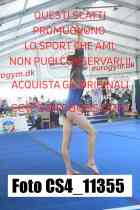 CS4_11355-