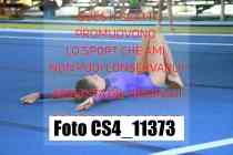 CS4_11373-