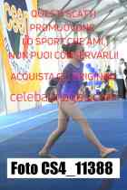 CS4_11388-