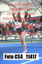 CS4_11417-